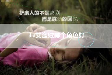 dnf女盗贼哪个角色好