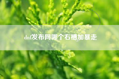 dnf发布网哪个右槽加暴走