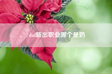 dnf新出职业哪个是奶