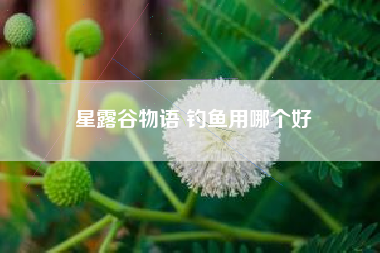 星露谷物语 钓鱼用哪个好