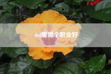 dnf里哪个职业好