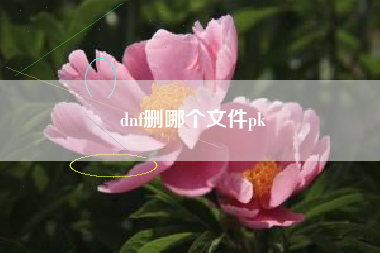 dnf删哪个文件pk