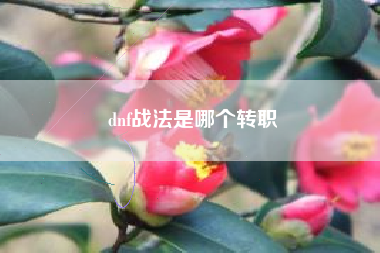 dnf战法是哪个转职