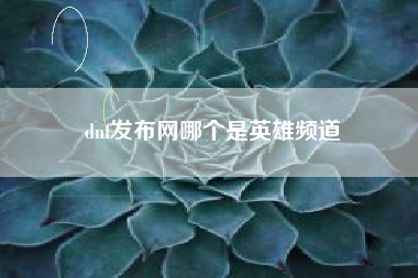 dnf发布网哪个是英雄频道