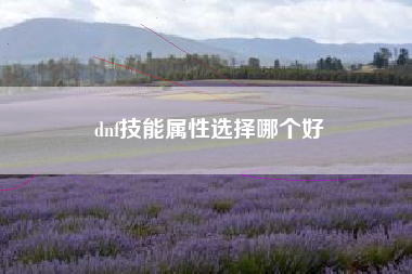 dnf技能属性选择哪个好