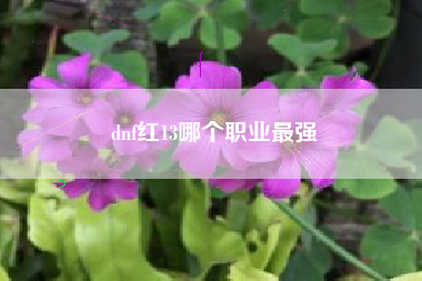 dnf红13哪个职业最强