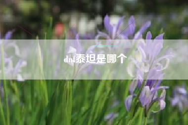 dnf泰坦是哪个