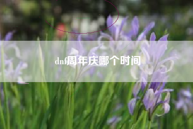 dnf周年庆哪个时间