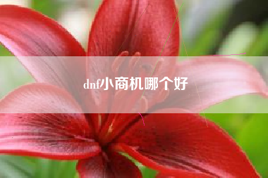 dnf小商机哪个好