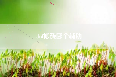 dnf搬砖哪个辅助