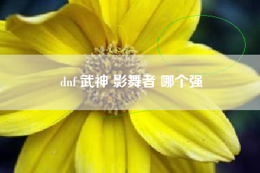 dnf 武神 影舞者 哪个强