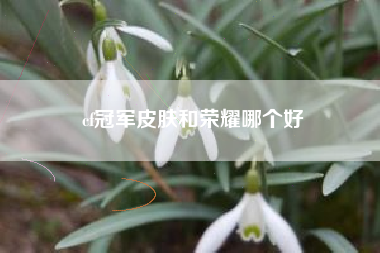 cf冠军皮肤和荣耀哪个好