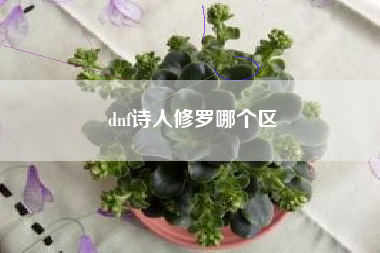 dnf诗人修罗哪个区