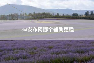 dnf发布网哪个辅助更稳