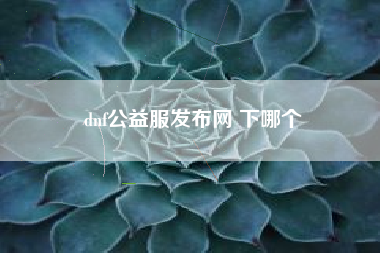 dnf公益服发布网 下哪个