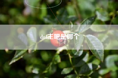 dnf主吧是哪个