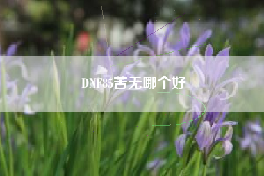 DNF85苦无哪个好