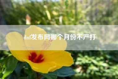 dnf发布网哪个月份不严打