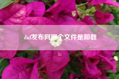 dnf发布网哪个文件是卸载