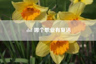 dnf 哪个职业有复活