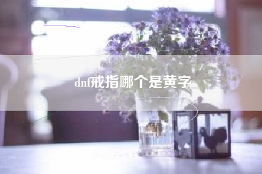 dnf戒指哪个是黄字