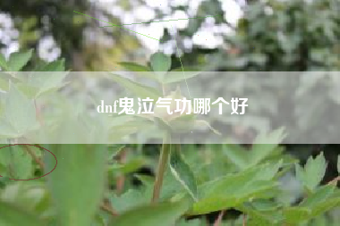 dnf鬼泣气功哪个好