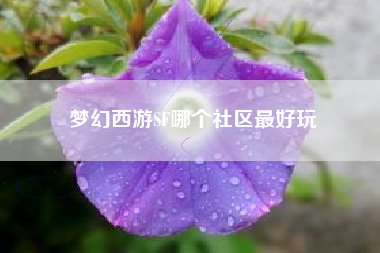 梦幻西游SF哪个社区最好玩