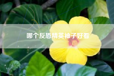 哪个反恐精英袖子好看