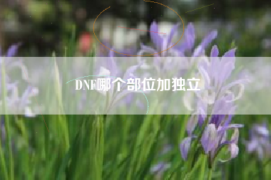 DNF哪个部位加独立