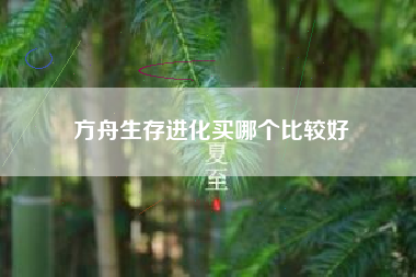 方舟生存进化买哪个比较好