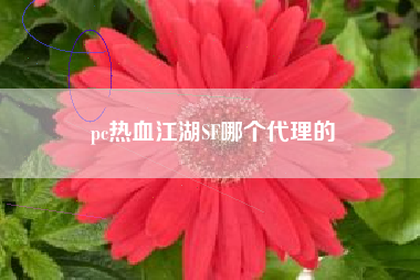 pc热血江湖SF哪个代理的