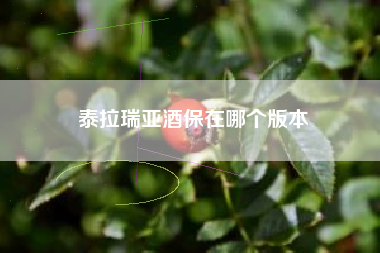 泰拉瑞亚酒保在哪个版本