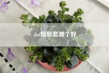 dnf暗影套哪个好