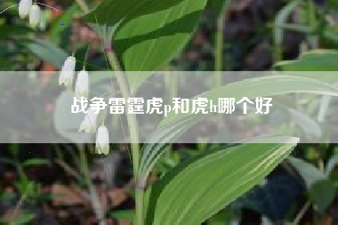 战争雷霆虎p和虎h哪个好