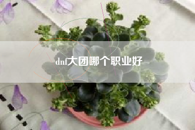 dnf大团哪个职业好