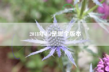 2018年dnf是哪个版本