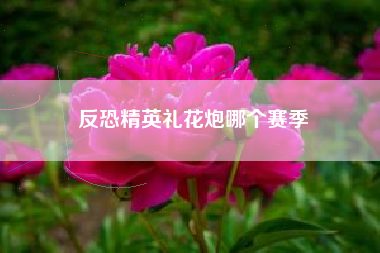 反恐精英礼花炮哪个赛季