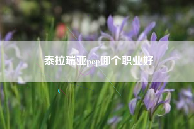 泰拉瑞亚pep哪个职业好