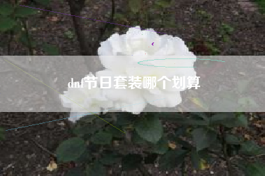 dnf节日套装哪个划算