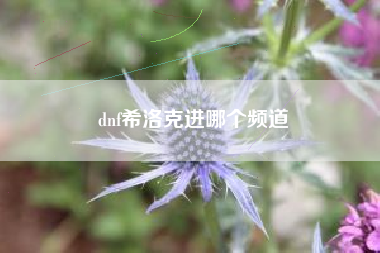 dnf希洛克进哪个频道