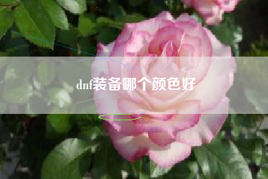 dnf装备哪个颜色好