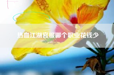 热血江湖官服哪个职业花钱少