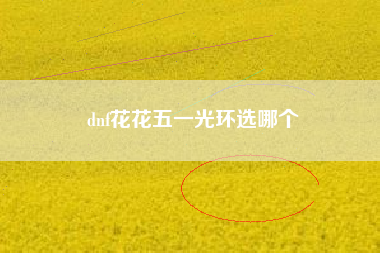 dnf花花五一光环选哪个