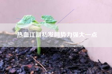 热血江湖私发网势力强大一点