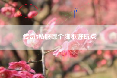 传奇3私服哪个脚本好玩点