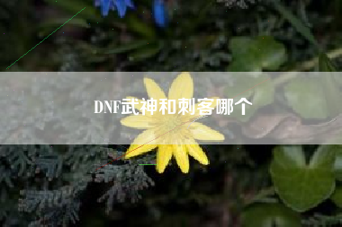 DNF武神和刺客哪个