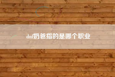 dnf奶爸指的是哪个职业