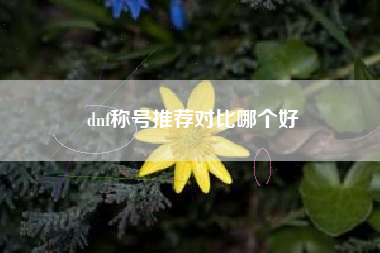 dnf称号推荐对比哪个好