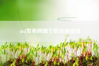 dnf发布网哪个职业刷图慢