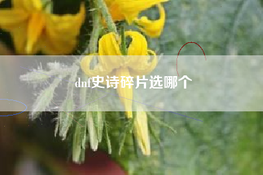 dnf史诗碎片选哪个